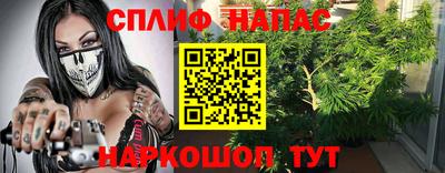 амф Берёзовский