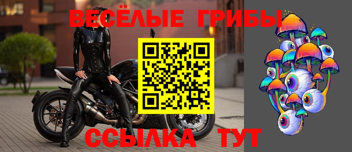 Галлюциногенные грибы Magic Shrooms Жуковский
